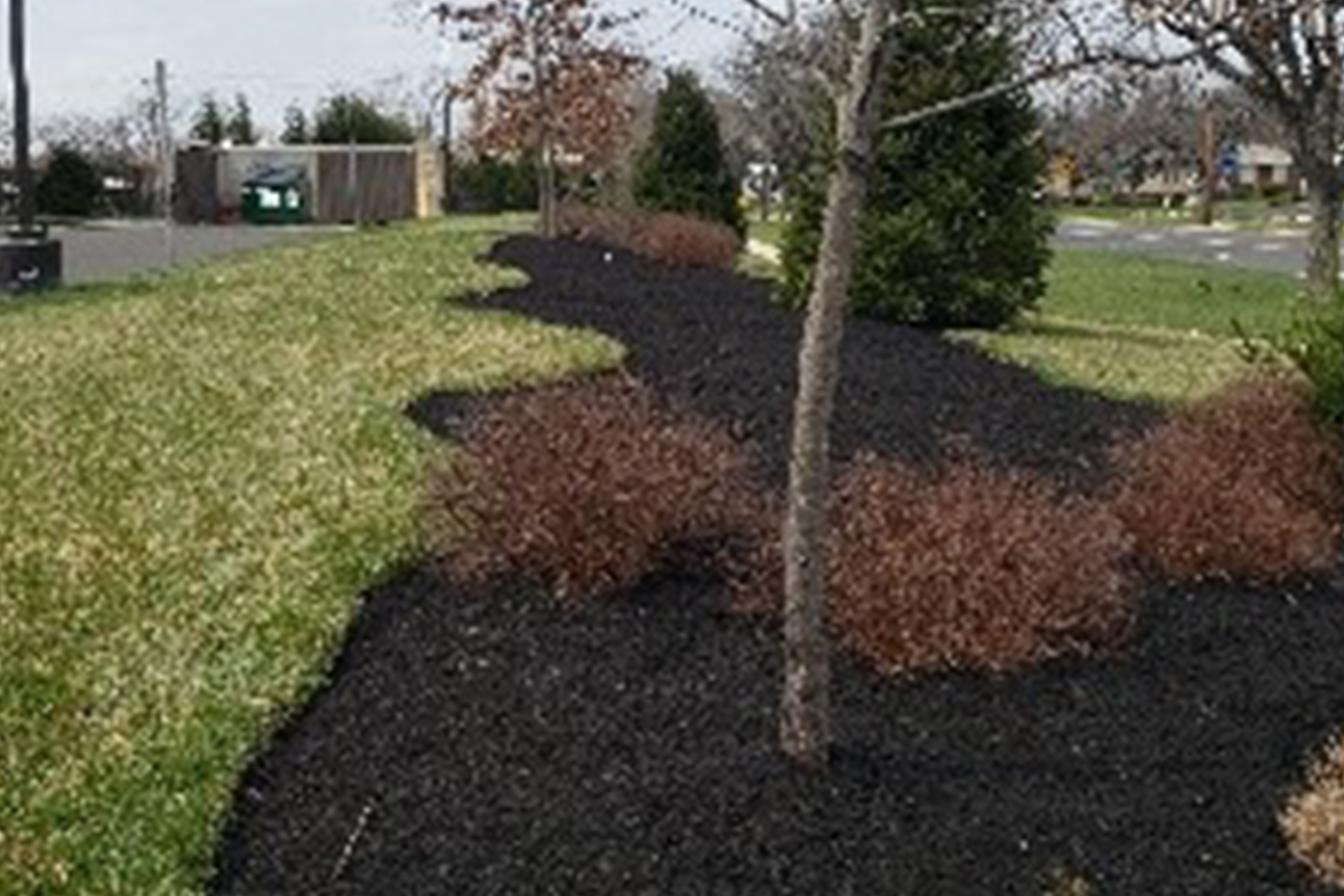 LifeTime Fitness Fort Washington Mulch 3 6-21-2022JP