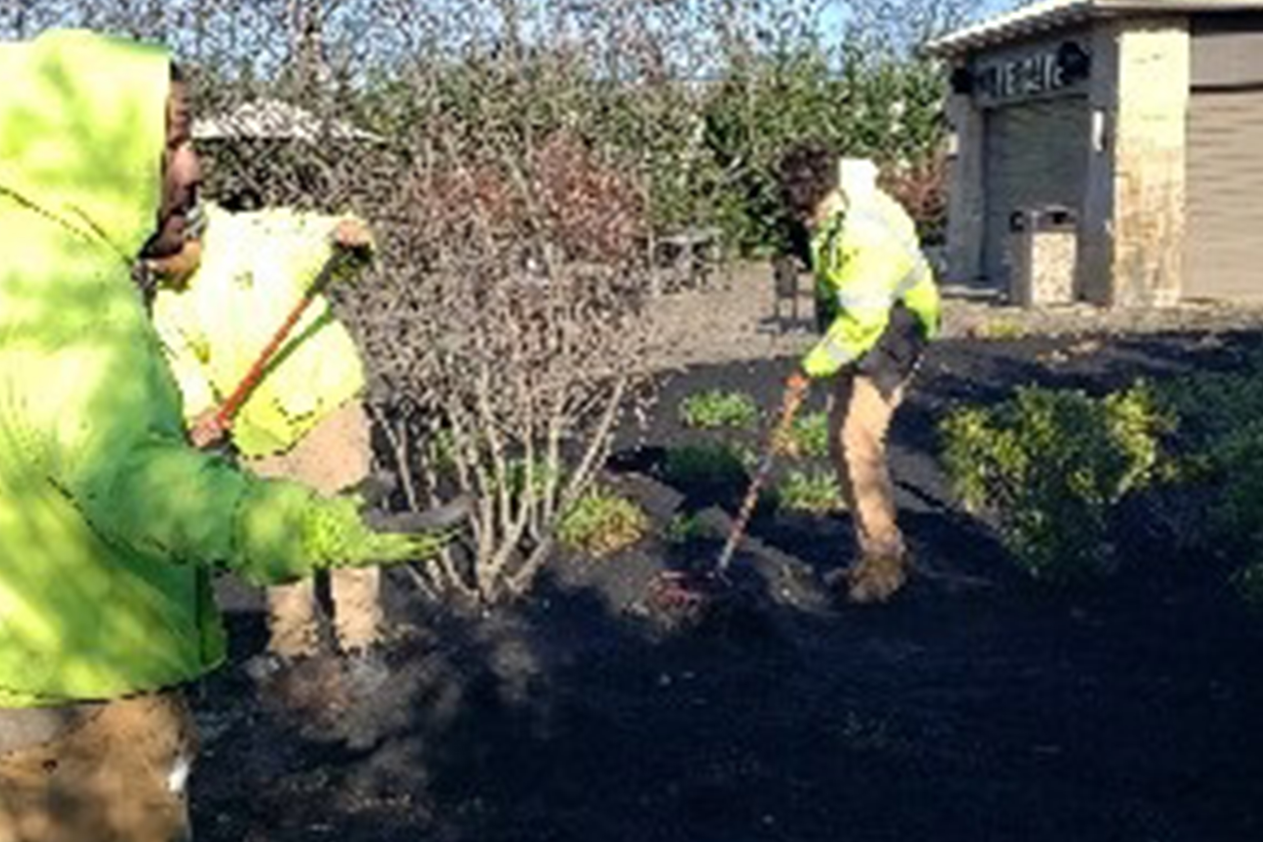 LifeTime Fitness Fort Washington Mulch 6-21-2022JP